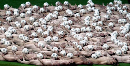 http://www.russianaustria.com/forum/images/spencer_tunick-vienna_wien-russian_austria-07.jpg