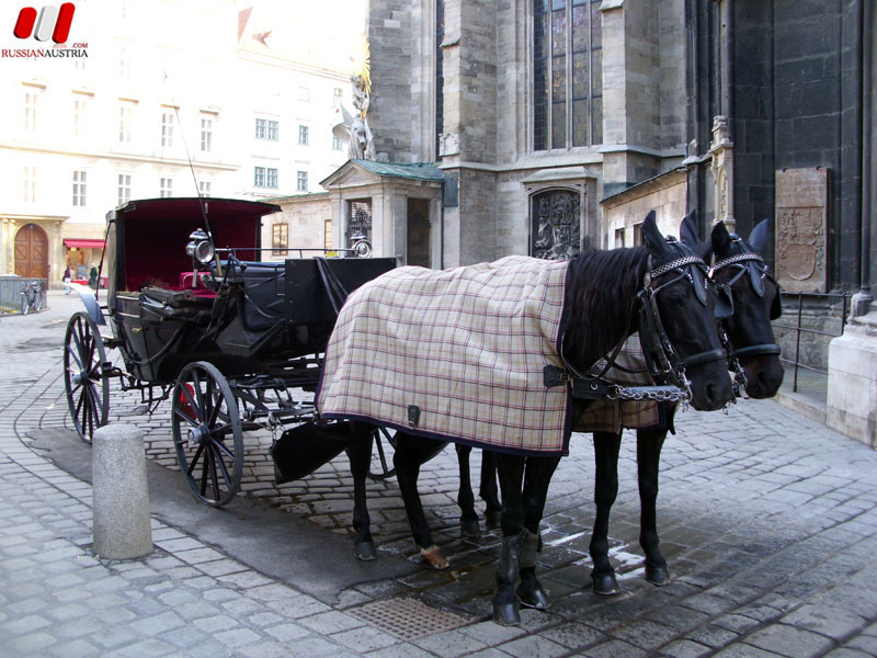 Русская Австрия. Прогулки по Вене. Штефансдом. Stephansdom. www.RussianAustria.com